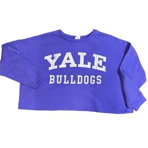 Yale Bulldogs Cropped Sweatshirt Comfy Oversized College Ivy League size 3X